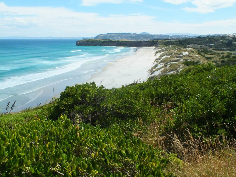 Stunning coastline of New Zealand