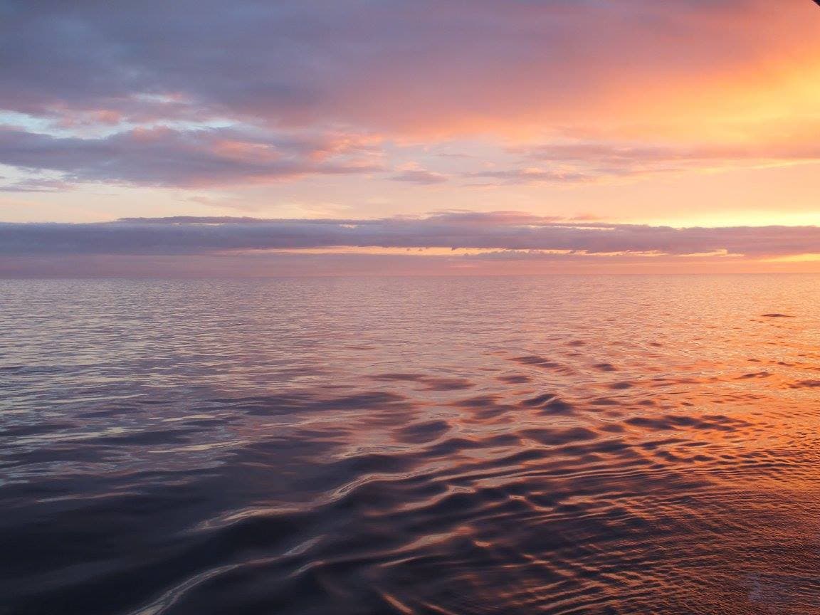 Breathtaking pink and orange sunset reflected on the open ocean from a cruise ship